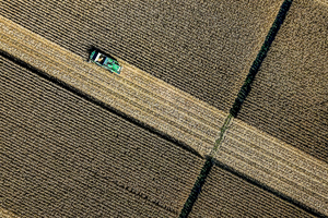 ΑΑΔΕ: Αυτές είναι οι ημερομηνίες για τις πληρωμές σε αγρότες και κτηνοτρόφους έως το τέλος Ιουνίου