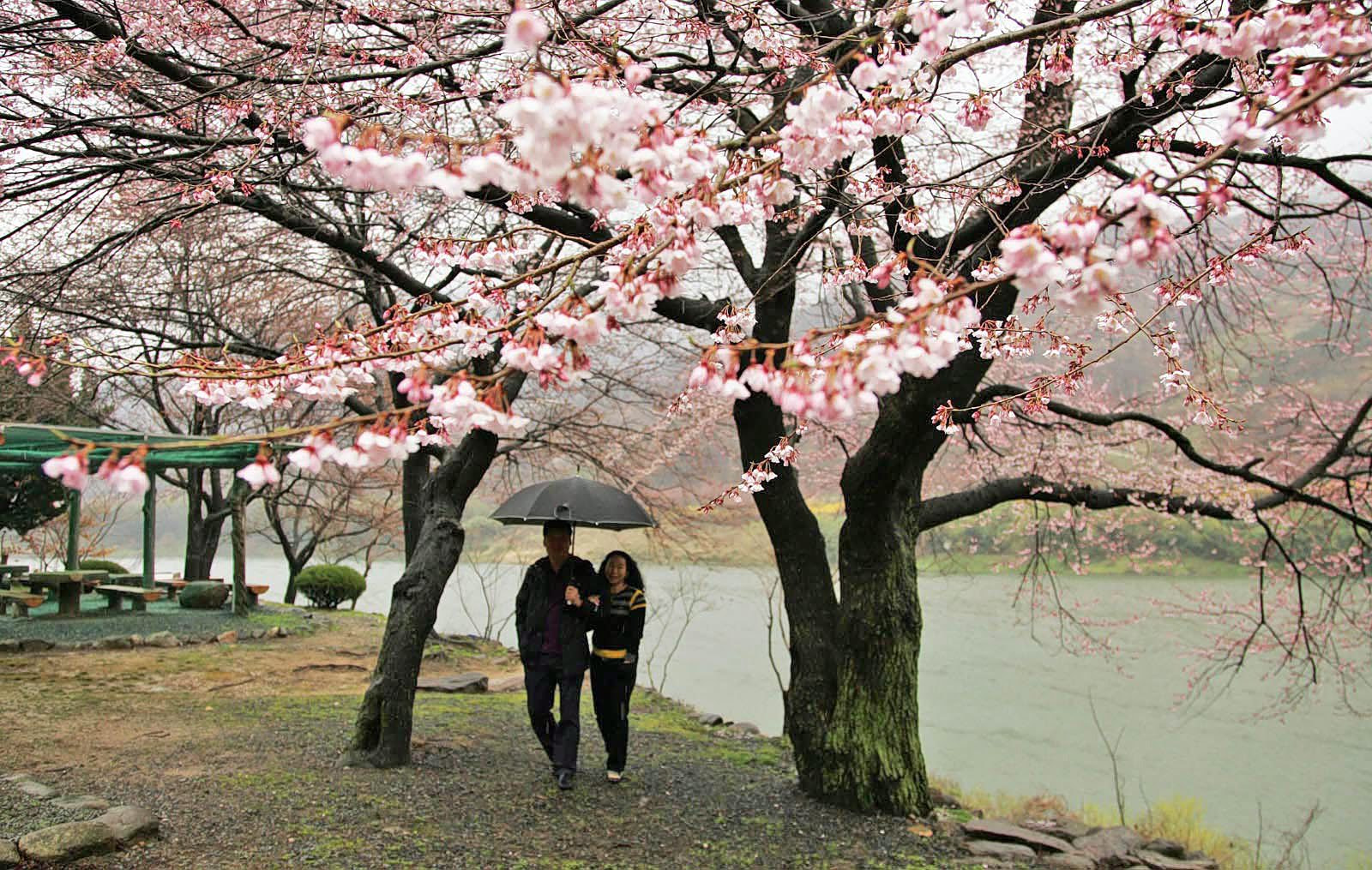&Kappa;&epsilon;&rho;&alpha;&sigma;&iota;έ&sigmaf;, &alpha;&mu;&upsilon;&gamma;&delta;&alpha;&lambda;&iota;έ&sigmaf;, &rho;&omicron;&zeta; &kappa;&alpha;&iota; &kappa;ό&kappa;&kappa;&iota;&nu;&omicron;&hellip;