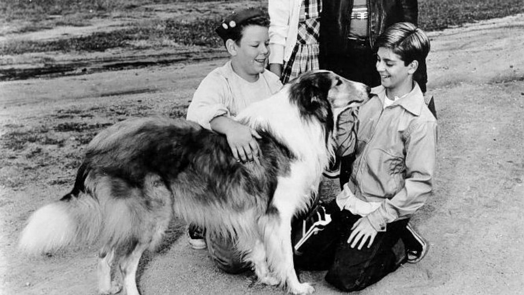 Λάσι: Η πραγματική ιστορία του σκύλου που ενέπνευσε την αγαπημένη σειρά