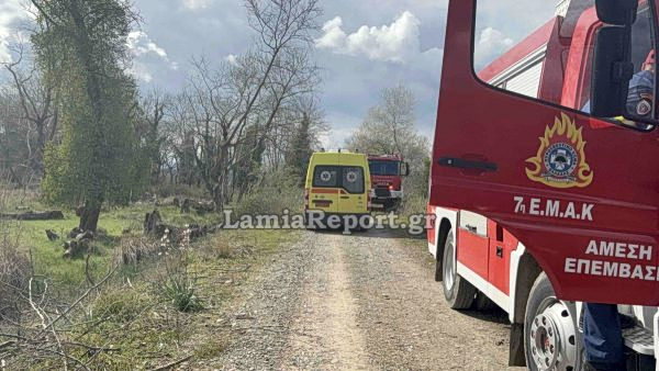 Τραγωδία στην Υπάτη: 68χρονος σκοτώθηκε από πτώση δέντρου μπροστά στα μάτια της γυναίκας του ενώ έκοβε ξύλα