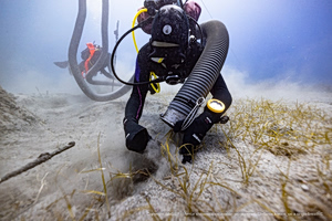 Σπάνιο εύρημα στο ναυάγιο του «Μέντωρ» του λόρδου Ελγιν – Τι αποκαλύπτει θραύσμα μαρμάρινης πλάκας με διακοσμητική σταγόνα