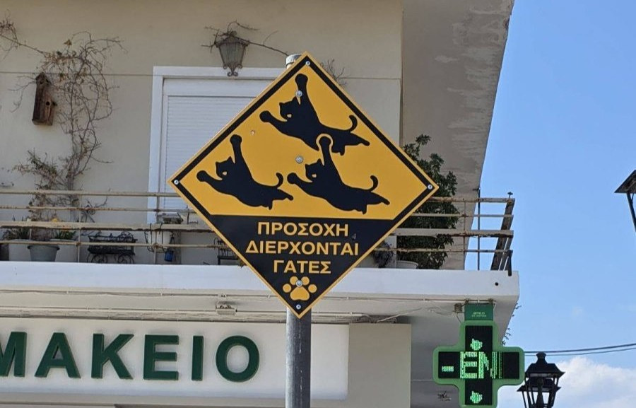 Οδηγοί προσοχή: Νέες προειδοποιητικές πινακίδες για τις περαστικές… γάτες