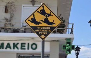 Οδηγοί προσοχή: Νέες προειδοποιητικές πινακίδες για τις περαστικές… γάτες