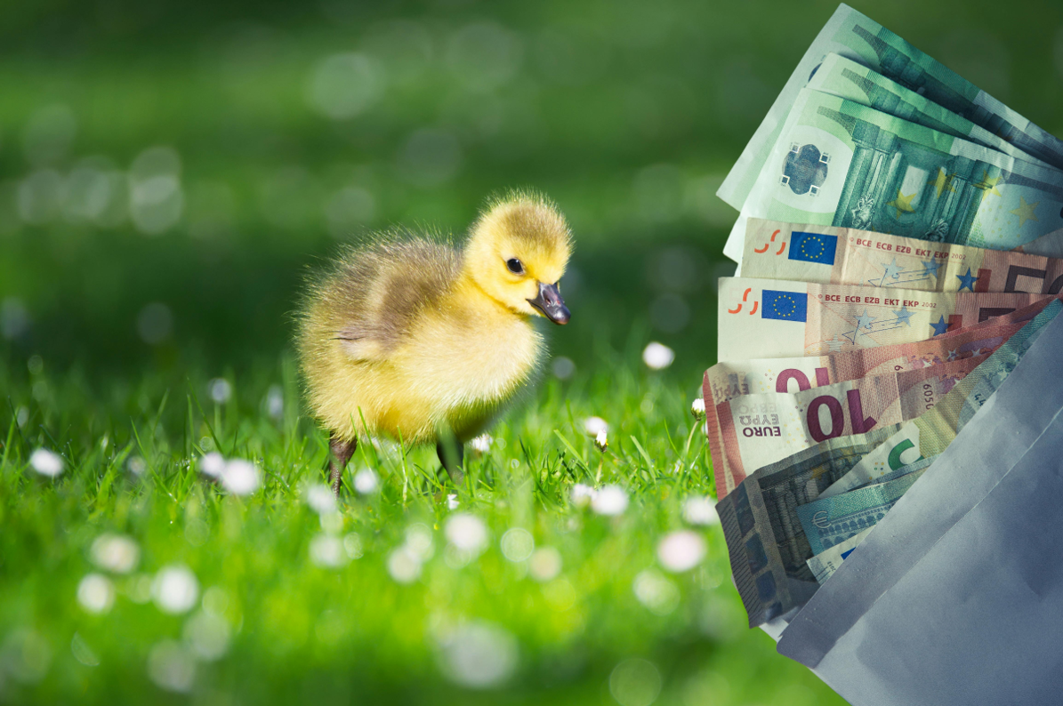 &Delta;ώ&rho;&omicron; &Pi;ά&sigma;&chi;&alpha;: &Pi;ό&tau;&epsilon; &mu;&pi;&alpha;ί&nu;&epsilon;&iota; &sigma;&tau;&omicron;&upsilon;&sigmaf; &lambda;&omicron;&gamma;&alpha;&rho;&iota;&alpha;&sigma;&mu;&omicron;ύ&sigmaf; &ndash; &Upsilon;&pi;&omicron;&lambda;&omicron;&gamma;ί&sigma;&tau;&epsilon; &Epsilon;&Delta;&Omega; &tau;&omicron; &pi;&omicron;&sigma;ό &pi;&omicron;&upsilon; &delta;&iota;&kappa;&alpha;&iota;&omicron;ύ&sigma;&tau;&epsilon;