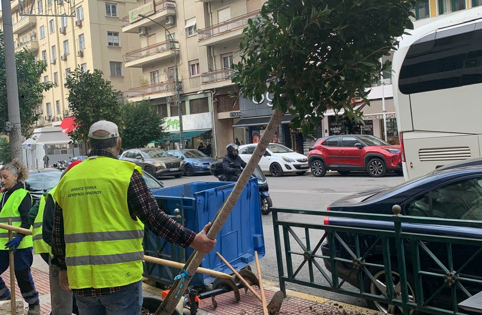 Νέες «ανάσες» πρασίνου στον Πειραιά – Δενδροφυτεύσεις κοντά σε σχολικές μονάδες