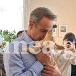 Τα σκυλιά του πολέμου στο Μέγαρο Μαξίμου – Στην υποδοχή ο Πίνατ (φωτογραφίες)