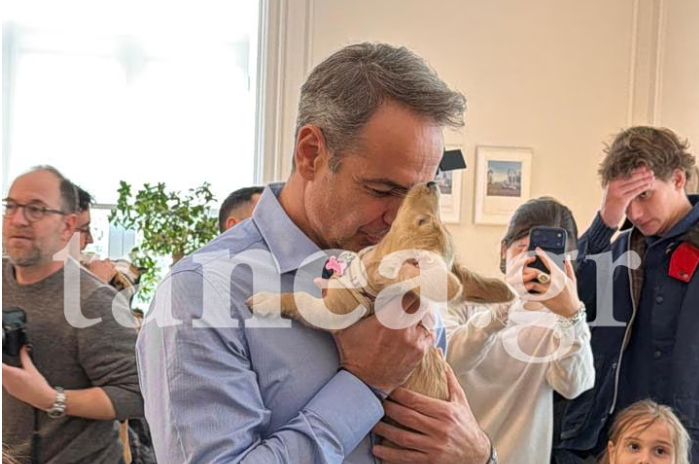 Τα σκυλιά του πολέμου στο Μέγαρο Μαξίμου – Στην υποδοχή ο Πίνατ (φωτογραφίες)