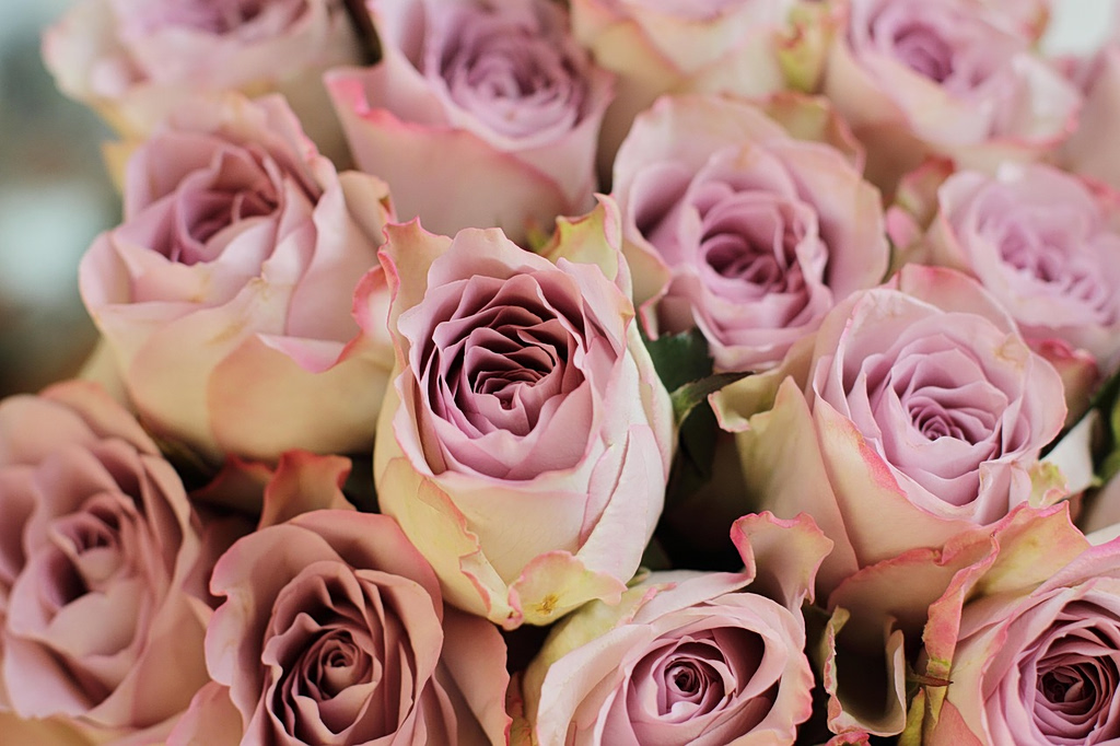 Εορτολόγιο: Ποιοι γιορτάζουν σήμερα, 14 Μαρτίου