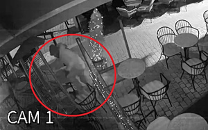 Βίντεο ντοκουμέντο της δράσης διαρρήκτη στο Αγρίνιο – Χρησιμοποιούσε τις τέντες για να μπαίνει σε καταστήματα (video)