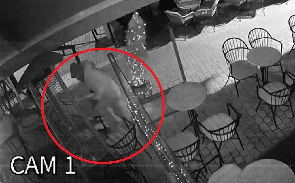 Βίντεο ντοκουμέντο της δράσης διαρρήκτη στο Αγρίνιο – Χρησιμοποιούσε τις τέντες για να μπαίνει σε καταστήματα (video)