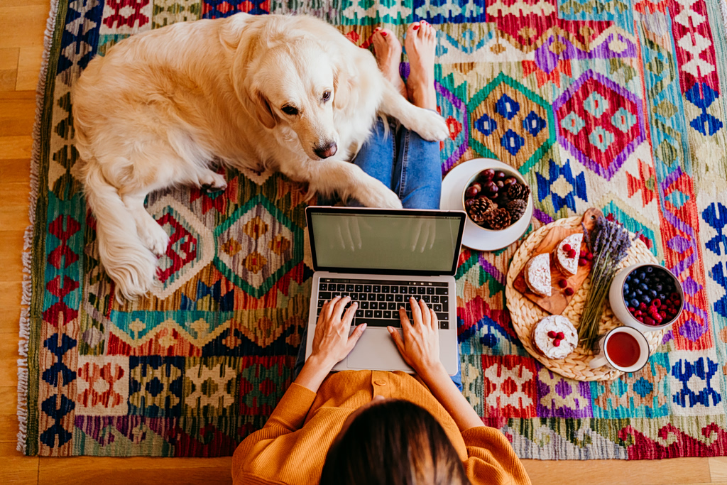 Γονίδια golden retriever συνδέονται με άγχος, επιθετικότητα και νοημοσύνη στους ανθρώπους