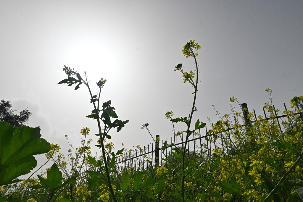 «Σταυροδρόμι τριών μετεωρολογικών φαινομένων η χώρα μας» – Τι συνθέτει το καιρικό σκηνικό