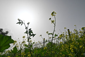 «Σταυροδρόμι τριών μετεωρολογικών φαινομένων η χώρα μας» – Τι συνθέτει το καιρικό σκηνικό