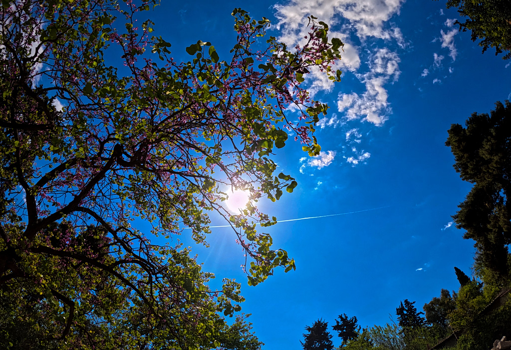 Καιρός: Χωρισμένη στα δύο η χώρα την Πέμπτη, πού θα εκδηλωθούν τοπικές βροχές – Η πρόγνωση από την Ελίνα Καρέτσου