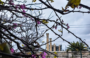 Καιρός: 25η Μαρτίου με εναλλαγές ανά περιοχή – Πού θα βρέξει και τι θα φέρει η συνέχεια της εβδομάδας