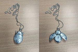 Ηλεία: Έκλεψε κοσμήματα αξίας 50.000 ευρώ και τα έκρυψε σε κορμό δέντρου στην αυλή του σπιτιού του