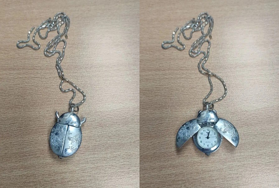 Ηλεία: Έκλεψε κοσμήματα αξίας 50.000 ευρώ και τα έκρυψε σε κορμό δέντρου στην αυλή του σπιτιού του