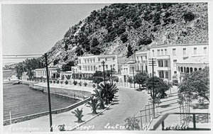 «Η λέξη είναι το επιτύμβιο που αποσιωπά τον χρόνο της μαθητείας»