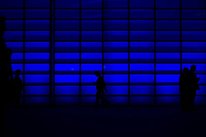 Η επιστροφή των εξαφανισμένων