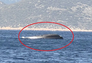 Καστελόριζο: Βίντεο από το βυθισμένο σκάφος της Frontex – Η ανακοίνωση του Λιμενικού