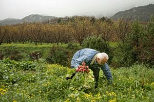 Στενά του Ορμούζ: Η «αρτηρία» που απειλεί την παγκόσμια επισιτιστική ασφάλεια
