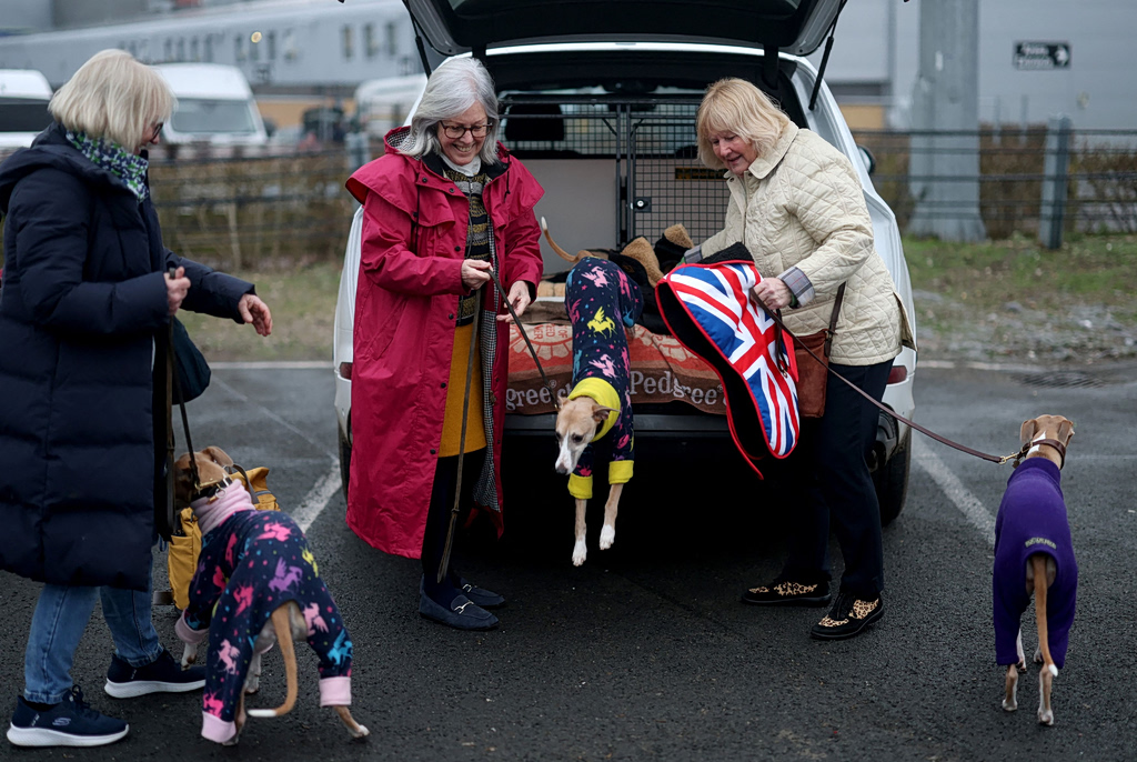 Βαριά πρόστιμα χωρίς όριο και αυστηρότερα μέτρα για επιθέσεις σκύλων σε  ζώα εκτροφής