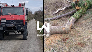 Τραγωδία στη Λαμία – Νεκρός 68χρονος που έκοβε ξύλα και καταπλακώθηκε μπροστά στη γυναίκα του