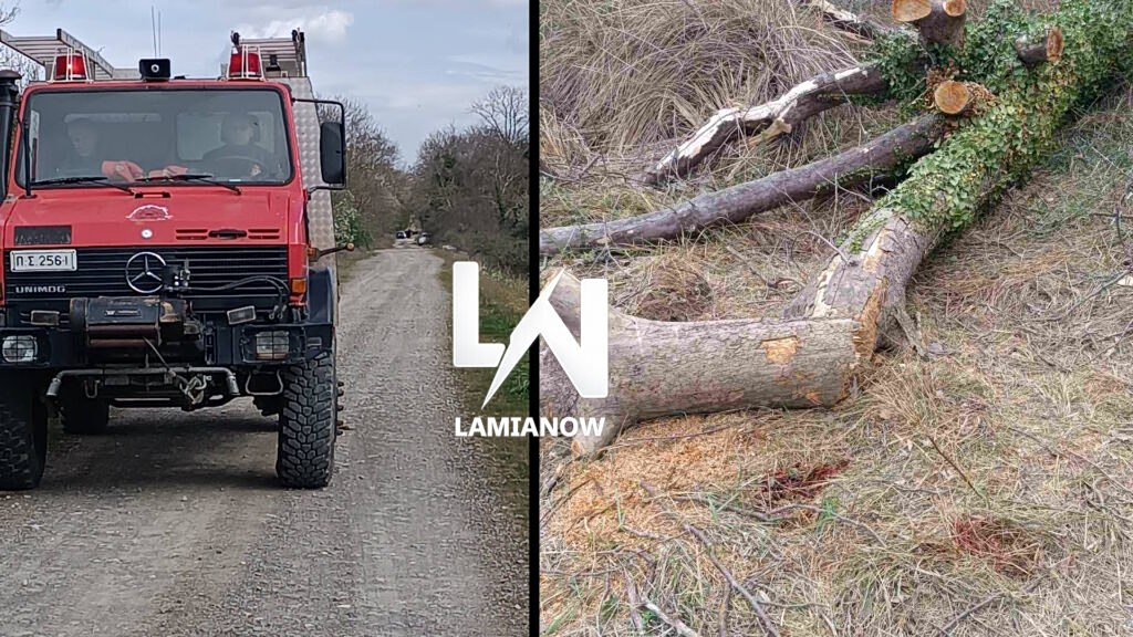 Τραγωδία στη Λαμία – Νεκρός 68χρονος που έκοβε ξύλα και καταπλακώθηκε μπροστά στη γυναίκα του