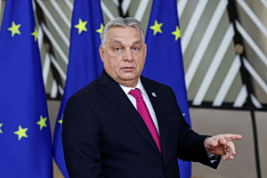 AfD και Ουγγαρία στο μικροσκόπιο