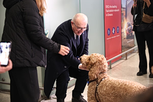Η πρώτη πτήση επαναπατρισμού με ζώα είναι γεγονός – 101 Έλληνες και 45 κατοικίδια μαζί στην Ελλάδα από τα ΗΑΕ