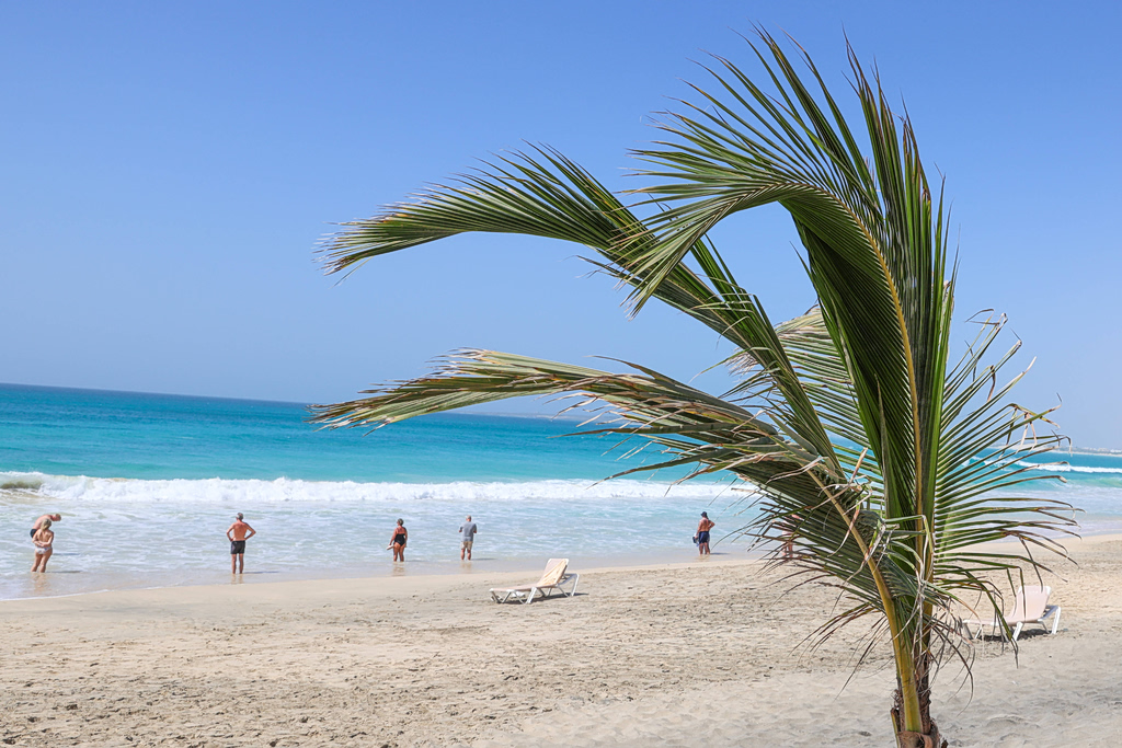 Τροπικός παράδεισος ή «φονική παγίδα»; Το μυστήριο με τους ανεξήγητους θανάτους τουριστών