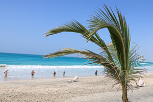 Τροπικός παράδεισος ή «παγίδα»; Το μυστήριο με τους θανάτους τουριστών