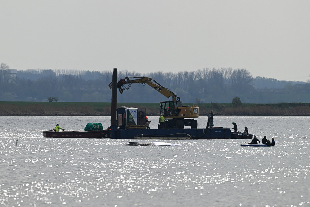 Μάχη με τον χρόνο για την «Τίμι»: Συγκίνηση και διχασμός για τη διάσωση της φάλαινας