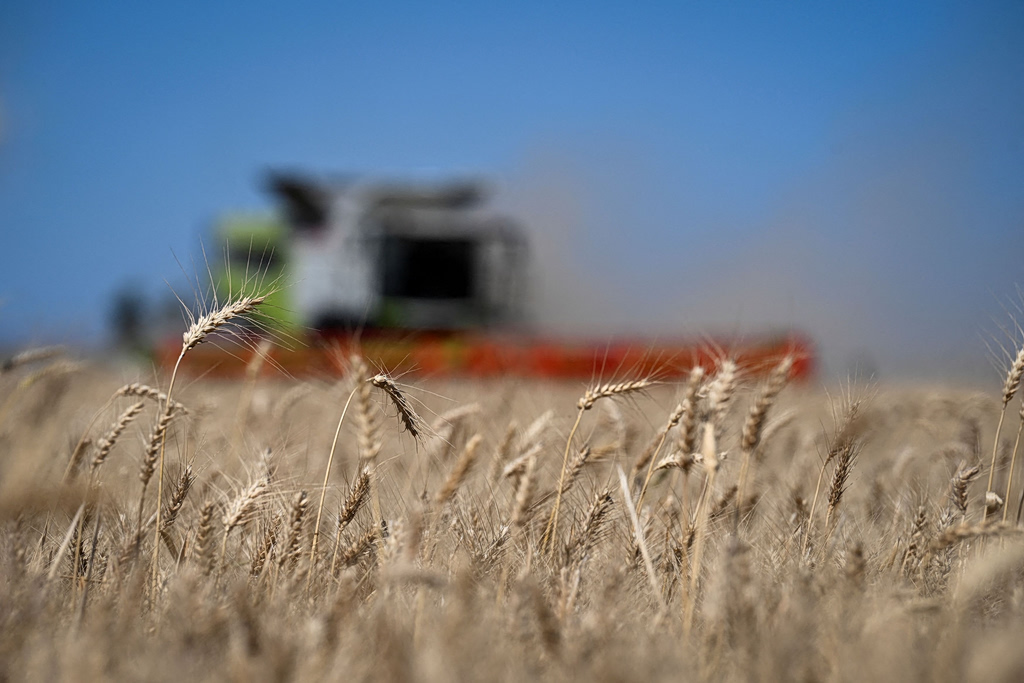 Σκιά κυρώσεων από την ΕΕ σε βάρος του Ισραήλ για το ουκρανικό σιτάρι
