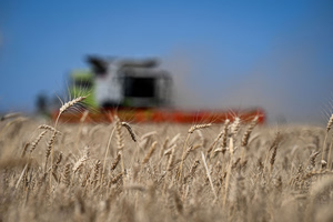 Σκιά κυρώσεων από την ΕΕ σε βάρος του Ισραήλ για το ουκρανικό σιτάρι