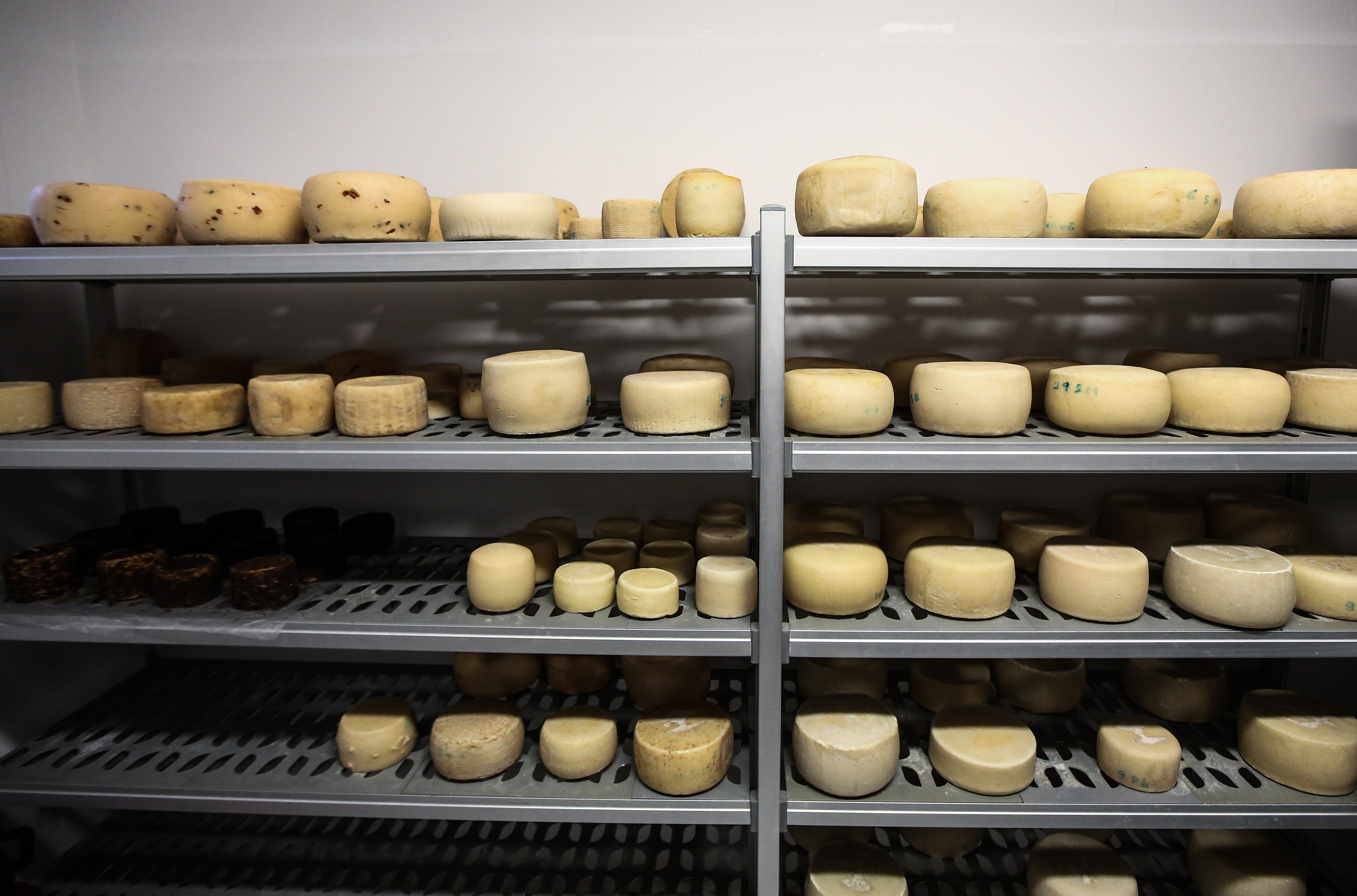 &Lambda;έ&sigma;&beta;&omicron;&sigmaf; &ndash; K&rho;&alpha;&upsilon;&gamma;ή &alpha;&gamma;&omega;&nu;ί&alpha;&sigmaf; &alpha;&pi;ό &tau;&omicron;&upsilon;&sigmaf; &tau;&upsilon;&rho;&omicron;&kappa;ό&mu;&omicron;&upsilon;&sigmaf;: &Zeta;&eta;&tau;&omicron;ύ&nu; ά&mu;&epsilon;&sigma;&eta; &alpha;&nu;&alpha;&chi;ώ&rho;&eta;&sigma;&eta; &tau;&omega;&nu; &gamma;&alpha;&lambda;&alpha;&kappa;&tau;&omicron;&kappa;&omicron;&mu;&iota;&kappa;ώ&nu; &pi;&rho;&omicron;ϊό&nu;&tau;&omega;&nu; &gamma;&iota;&alpha; &nu;&alpha; &epsilon;&pi;&alpha;&nu;&alpha;&lambda;&epsilon;&iota;&tau;&omicron;&upsilon;&rho;&gamma;ή&sigma;&omicron;&upsilon;&nu; &tau;&alpha; &tau;&upsilon;&rho;&omicron;&kappa;&omicron;&mu;&epsilon;ί&alpha;