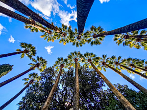 Πάσχα: Ο καιρός δεν έχει «κλειδώσει» – Τα δύο μοντέλα που συγκρούονται