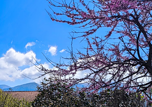 «Άγγιξε» τους 29 βαθμούς η θερμοκρασία την Κυριακή – Τι καιρός προβλέπεται τις επόμενες μέρες