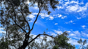 Καιρός: Άνοιξη την Τρίτη – Βροχές και πτώση θερμοκρασίας από την Τετάρτη