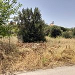 Καθαρισμός Οικοπέδων: Όλα όσα πρέπει να ξέρετε για τις προθεσμίες -Τι ισχύει με τα πρόστιμα