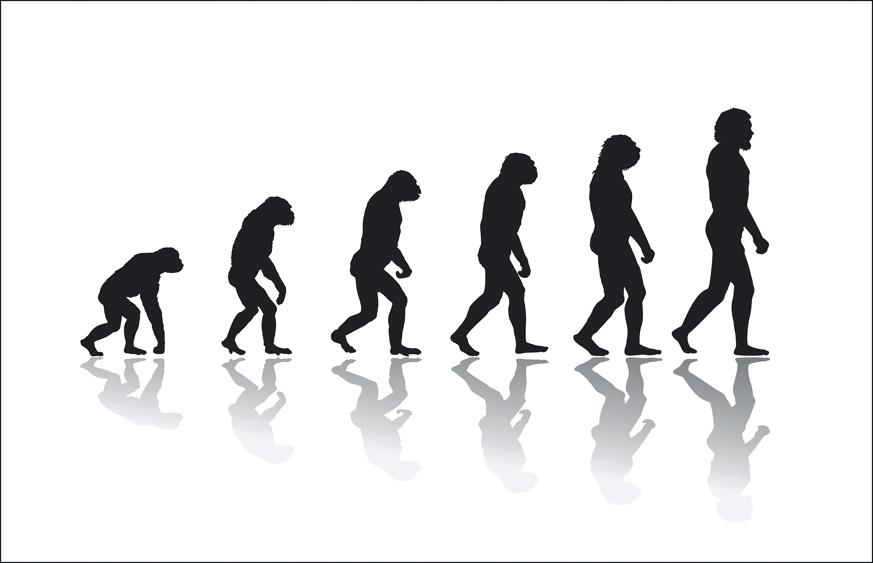 &Alpha;&nu;&alpha;&tau;&rho;&omicron;&pi;ή &sigma;&tau;&eta;&nu; &alpha;&nu;&theta;&rho;ώ&pi;&iota;&nu;&eta; &epsilon;&xi;έ&lambda;&iota;&xi;&eta;: &Tau;&rho;&epsilon;&iota;&sigmaf; &sigma;&kappa;&epsilon;&lambda;&epsilon;&tau;&omicron;ί Homo sapiens &alpha;&pi;&omicron;&kappa;&alpha;&lambda;ύ&pi;&tau;&omicron;&upsilon;&nu; ά&gamma;&nu;&omega;&sigma;&tau;&epsilon;&sigmaf; &pi;&rho;&alpha;&kappa;&tau;&iota;&kappa;έ&sigmaf; &theta;&alpha;&nu;ά&tau;&omicron;&upsilon;