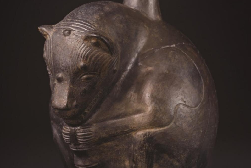 Γιατί σκύλοι και άνθρωποι θάβονταν μαζί στο Περού; – Τι αποκαλύπτουν τα άτριχα τετράποδα