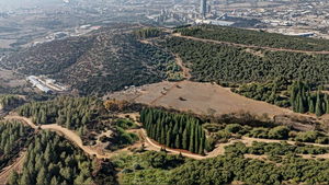 Θεσσαλονίκη: Φύτεψαν 100.000 δένδρα και 220.000 θάμνους για τη «γέννηση» του περιαστικού δάσους της Ευκαρπίας