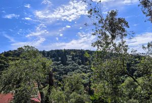 Καιρός: Στροφή σε καλοκαιρινές μέρες με ηλιοφάνεια – Τοπικά φαινόμενα στο Αιγαίο