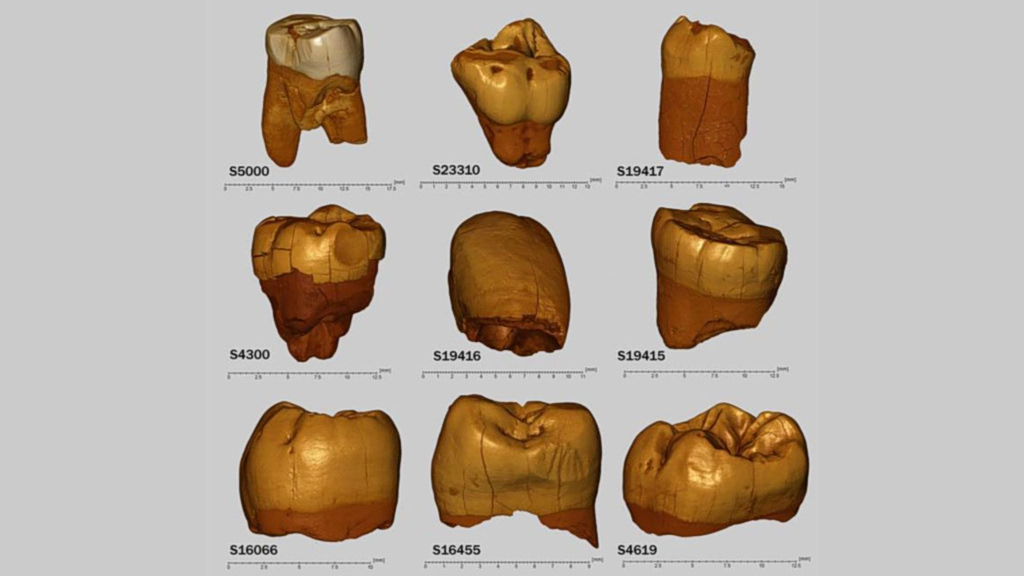 Ξετυλίγεται το μυστήριο των Νεάντερταλ – Η γενετική γραμμή που σάρωσε την Ευρώπη