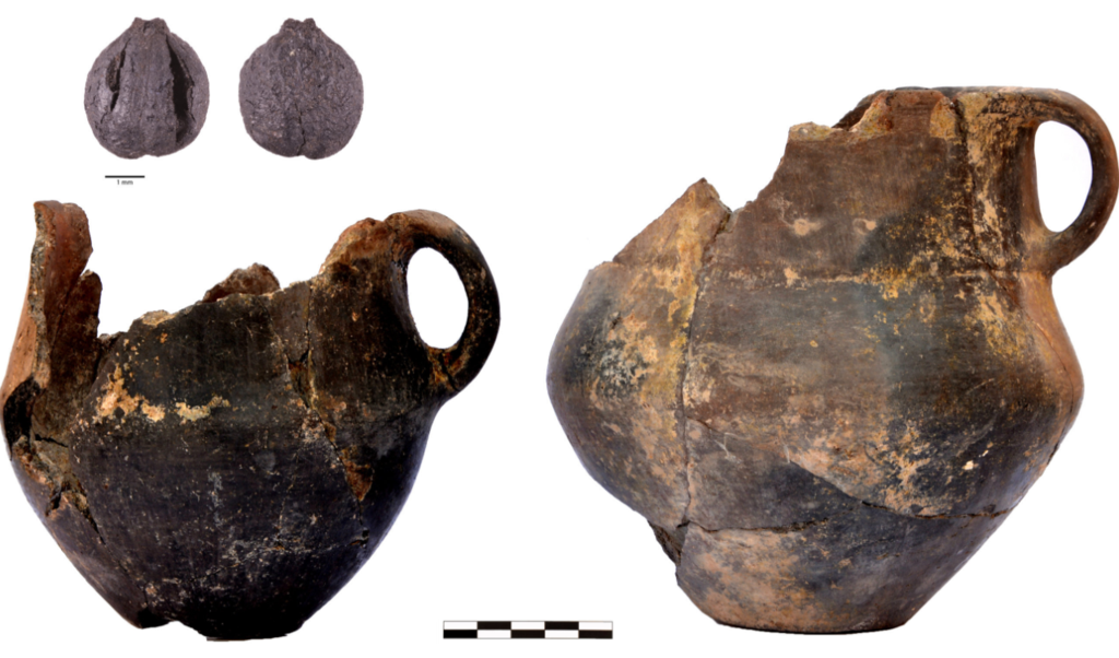 Τι έτρωγαν πριν 4.000 χρόνια στον Νότιο Καύκασο; – Τι αποκαλύπτουν αρχαία αγγεία για τις μαγειρικές πρακτικές