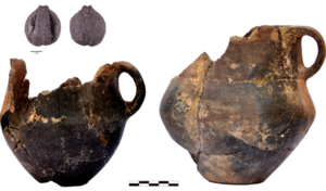 Τι έτρωγαν πριν 4.000 χρόνια στον Νότιο Καύκασο; – Τι αποκαλύπτουν αρχαία αγγεία για τις μαγειρικές πρακτικές