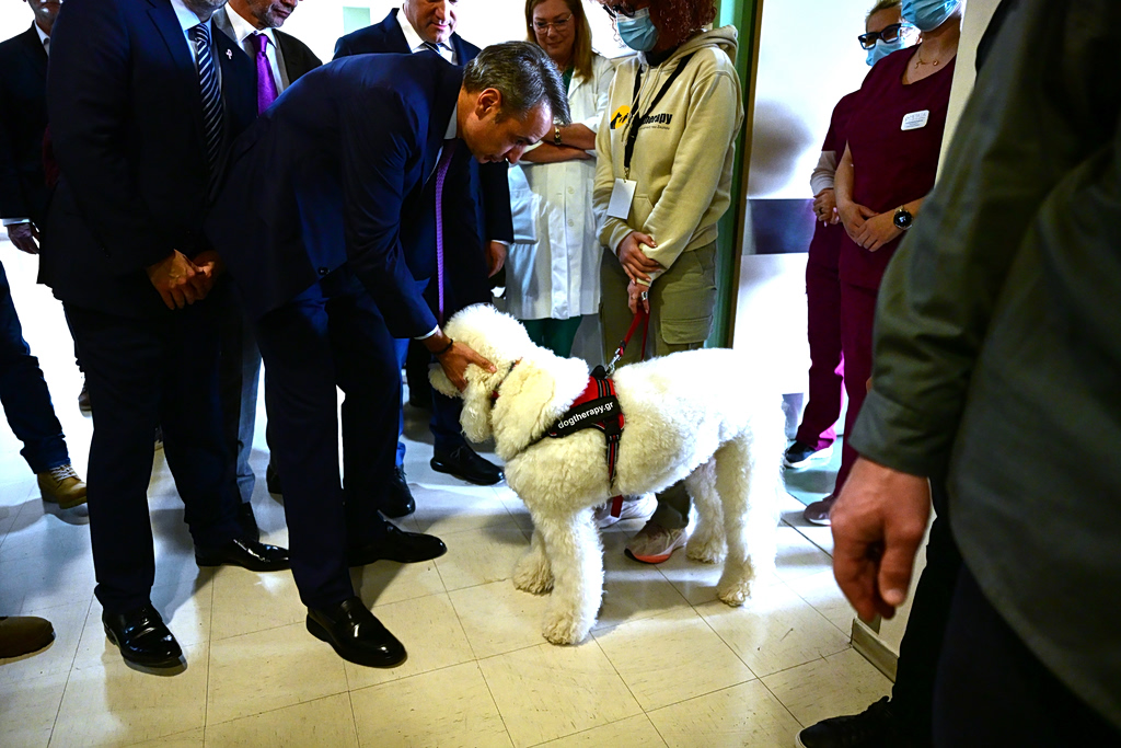 H συνάντηση Μητσοτάκη με σκύλο θεραπείας στο νοσοκομείο «Μεταξά»