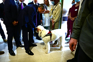 H συνάντηση Μητσοτάκη με σκύλο θεραπείας στο νοσοκομείο «Μεταξά»