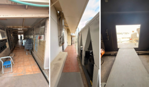 Αμπελόκηποι: Μια «φάρμα» στον 16ο όροφο – Η απίστευτη υπόθεση του αρχιτέκτονα «βοσκού» που αναζητείται